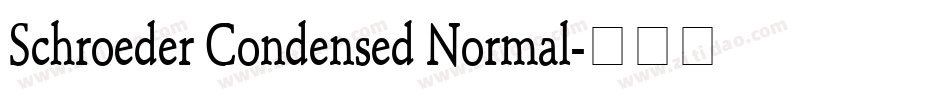 Schroeder Condensed Normal字体转换